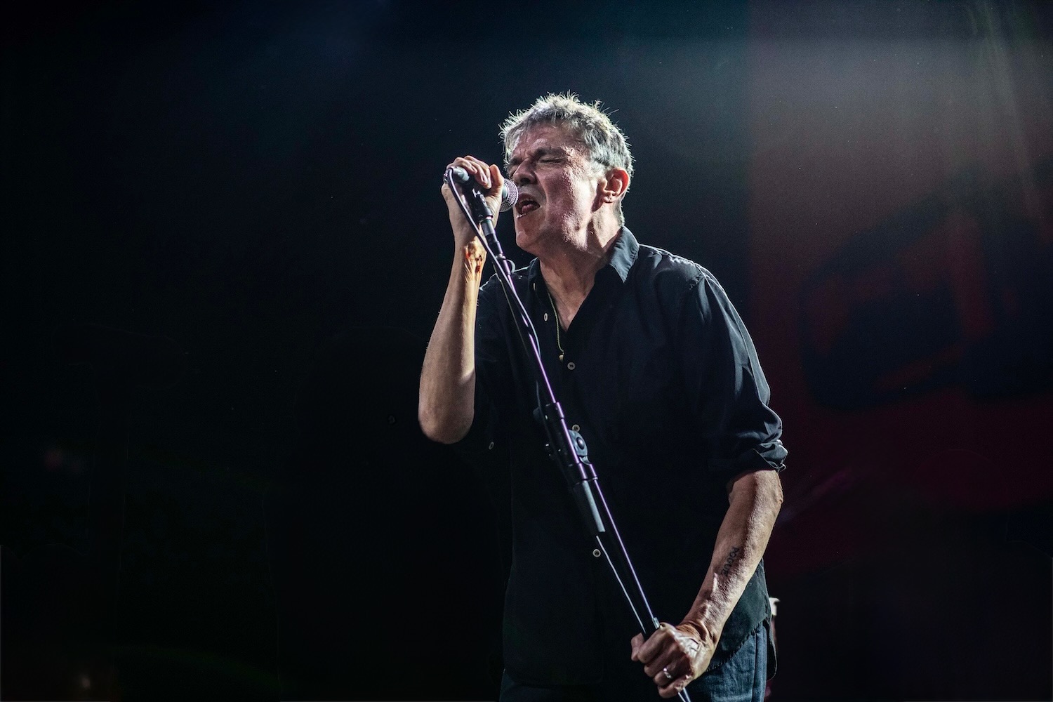 The Pouges Spider Stacy Happy Birthday Spider Stacy (Pogues) - Magnet Magazine